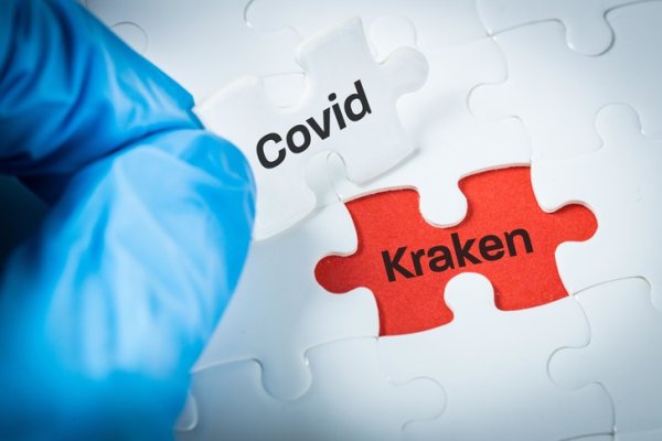 Kraken 13 at com