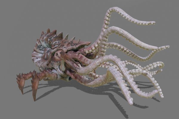 Kraken tor зеркало