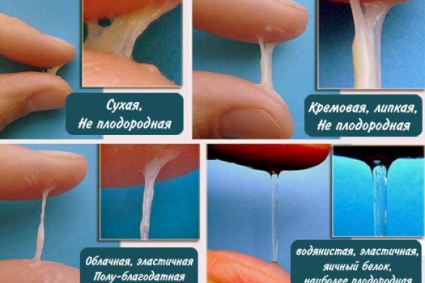 Свежие ссылки кракен