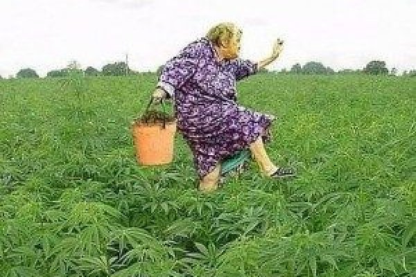 Маркет кракен маркетплейс