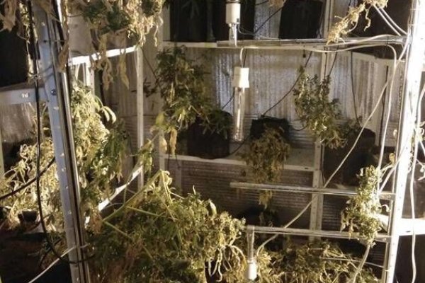 Как вернуть аккаунт на кракене