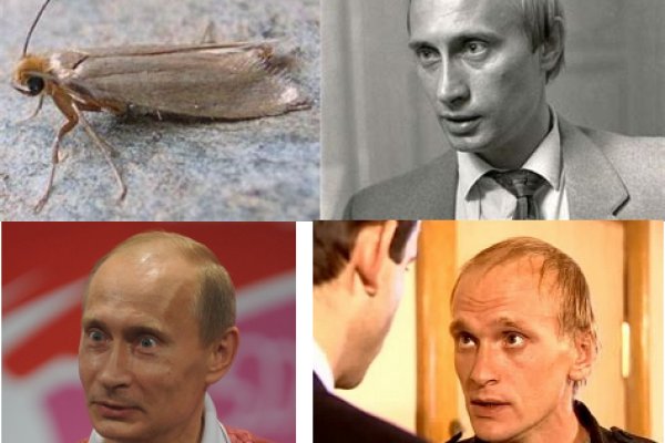 Кракен магазин тор
