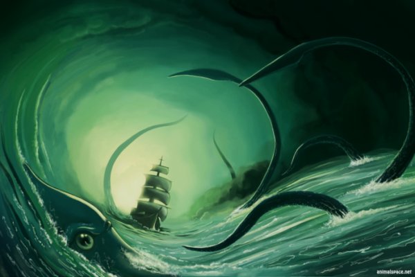Kraken19 at