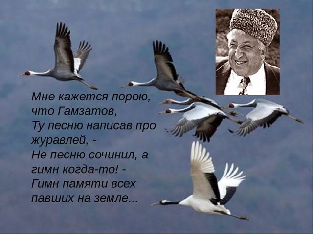 Кракен гидра