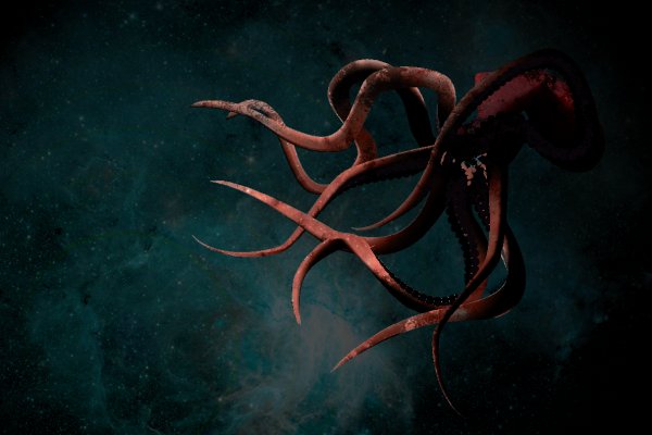 Kraken17 at