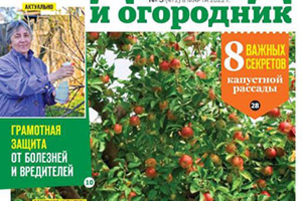 Кракен сайт ссылка тор браузере